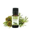 Ulei esential de Brad balsamic Bio, Mayam 10ml