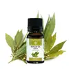 Ulei esential de Dafin, Mayam 10ml