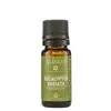 Ulei esential de Eucalipt Radiata, Mayam 10ml, imagine 2