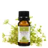Ulei esential de Fenicul dulce, Mayam 10ml