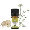 Ulei esential de Seminte de Morcov, Mayam 5ml