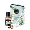 Ulei esential natural Eucalipt (Eucalyptus)), Soul and Scents 10ml