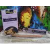 Betisoare parfumate Aromatika Vedic - Cinnamon 15g