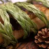 Sweetgrass (Iarba dulce) impletita, naturala - 60cm, imagine 3