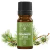 Ulei esential de Cedru Atlas Bio, Mayam 10ml, imagine 2