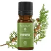 Ulei esential de Chiparos Bio, Mayam 10ml, imagine 2
