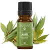 Ulei esential de Dafin, Mayam 10ml, imagine 2