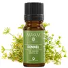 Ulei esential de Fenicul dulce, Mayam 10ml, imagine 2