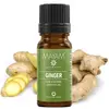Ulei esential de Ghimbir, Mayam 10ml, imagine 2