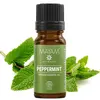 Ulei esential de Menta Bio, Mayam 10ml, imagine 2