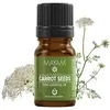 Ulei esential de Seminte de Morcov, Mayam 5ml, imagine 2