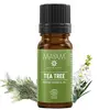 Ulei esential de Tea Tree Bio (Arbore de ceai), Mayam 10ml, imagine 2