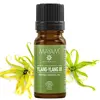 Ulei esential de Ylang-Ylang Bio, Mayam 10ml, imagine 2