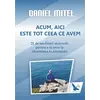 Acum, aici este tot ceea ce avem – Daniel Mitel, carte