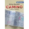 Camino. O călătorie a spiritului – Shirley McLaine, carte
