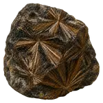 Astrofilit - Cumpara bijuterii si cristale naturale cu garantie