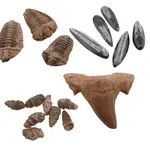 Fosile naturale