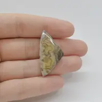 Cabochon Agat Crazy Lace 35x18x4mm C90