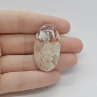 Cabochon Agat Crazy Lace 39x21x6mm C103