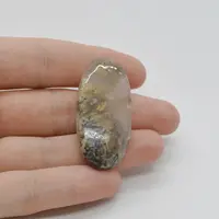 Cabochon Agat Dentritic 43x20x6mm C1