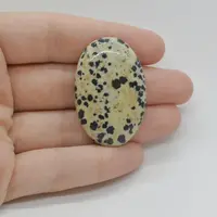 Cabochon Jasp Dalmatian 40x26x7mm C40