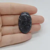 Cabochon Jasp Gabronit 34x21x6mm C65