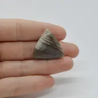 Cabochon Flint Polisat 26x25x5mm C62