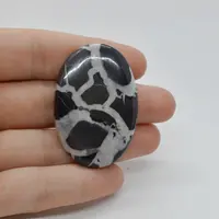 Cabochon Septaria Negru 45x30x5mm C32