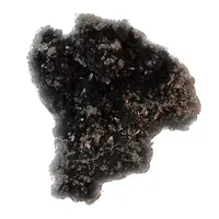 Floare de mina pentru colectie, unicat - C483 (Lot 1)