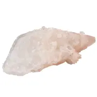 Floare de mina pentru colectie, unicat - C500 (Lot 1)