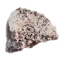 Floare de mina pentru colectie, unicat - C604 (Lot 1)