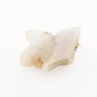 Floare de mina pentru colectie, unicat - A123