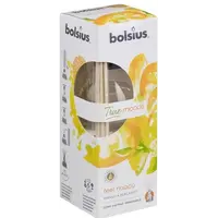 Odorizant Difuzor cu betisoare pentru casa True Bolsius - Mango, 45ml