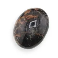 Palm Stone Piatra lunii neagra C87, 76g