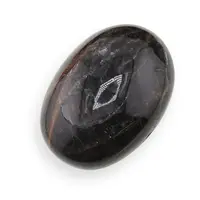 Palm Stone Piatra lunii neagra C89, 112g