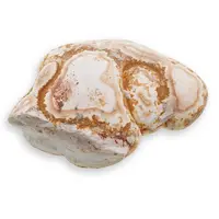 Menilit - Piatra zanelor, cristal natural unicat, A15