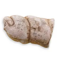 Menilit - Piatra zanelor, cristal natural unicat, A22 Menilit - Piatra zanelor, cristal natural unicat, A22