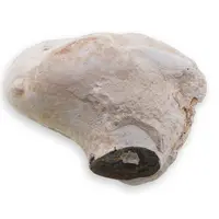 Menilit - Piatra zanelor, cristal natural unicat, A31