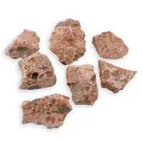 Jasp leopard brut 20-40g