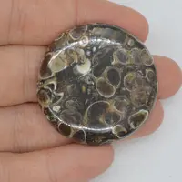 Cabochon agat turitela 35x35x6mm A24