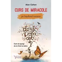 Curs de miracole pe înțelesul tuturor – Alan Cohen, carte