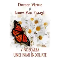 Vindecarea unei inimi îndoliate - Doreen Virtue, James van Praagh, carte