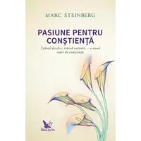 Pasiune pentru conștiență – Marc Steinberg, carte