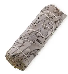 Buchet Salvie Alba (California White Sage) 10-12cm