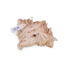 Barita, cristal unicat, B11