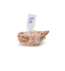 Barita, cristal unicat, B15