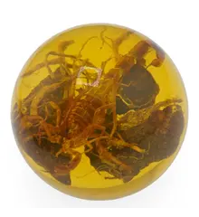 Decoratiune sfera cu scorpion in rasina, 5cm