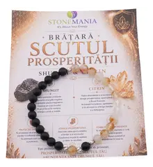 Bratara SCUTUL PROSPERITATII cu cristale naturale si Argint 925, 6mm