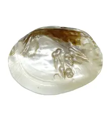 Cochilie scoica alba cu perle naturale 16cm