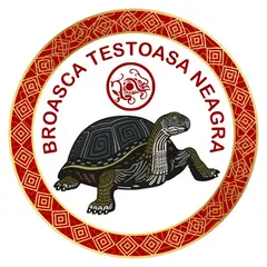 Abtibild sticker Feng Shui cu Testoasa Neagra – cele 4 animale celeste -11cm